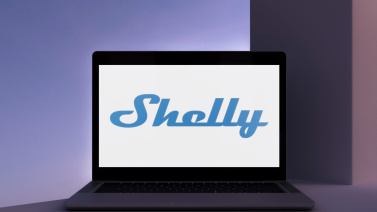 Shelly Group - The stock on fire - 2023
